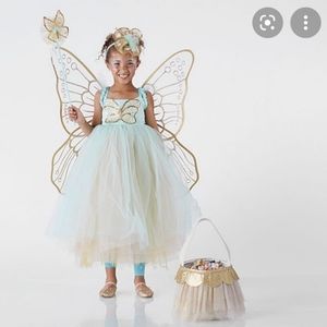 Pottery Barn Kids Butterfly Faury Costume 3t